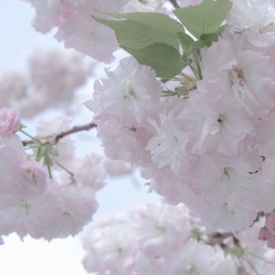 Furry创作思路分享FurryQQ群